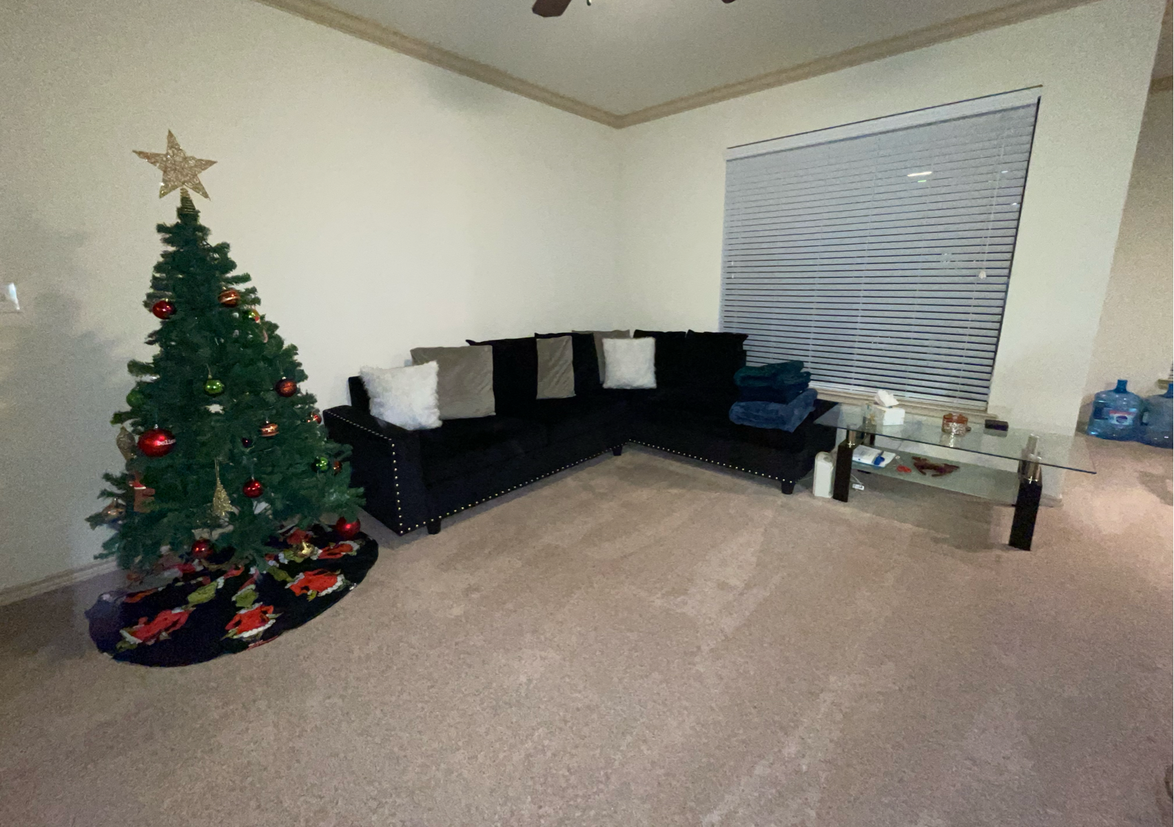 3/2 House Moveout Clean (Make Ready)