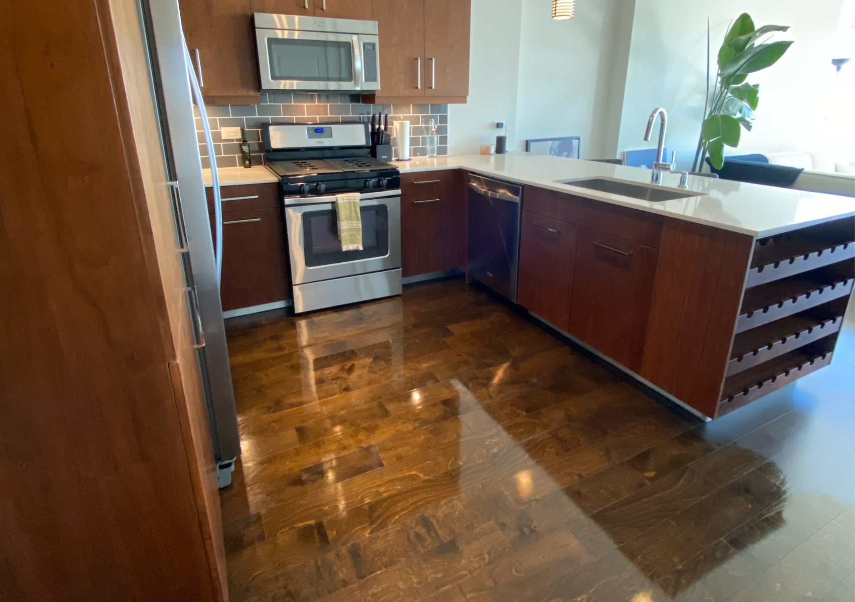 3/1 Apartment MOVE OUT CLEAN (Make Ready )