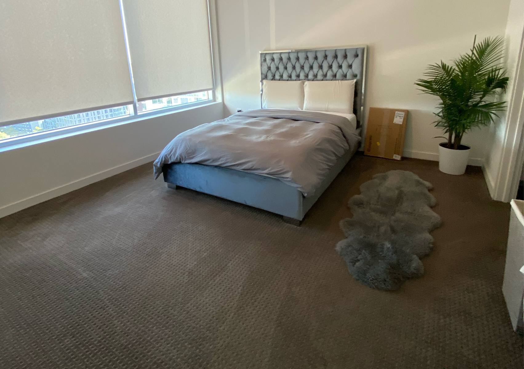 1/1 apartment standard clean