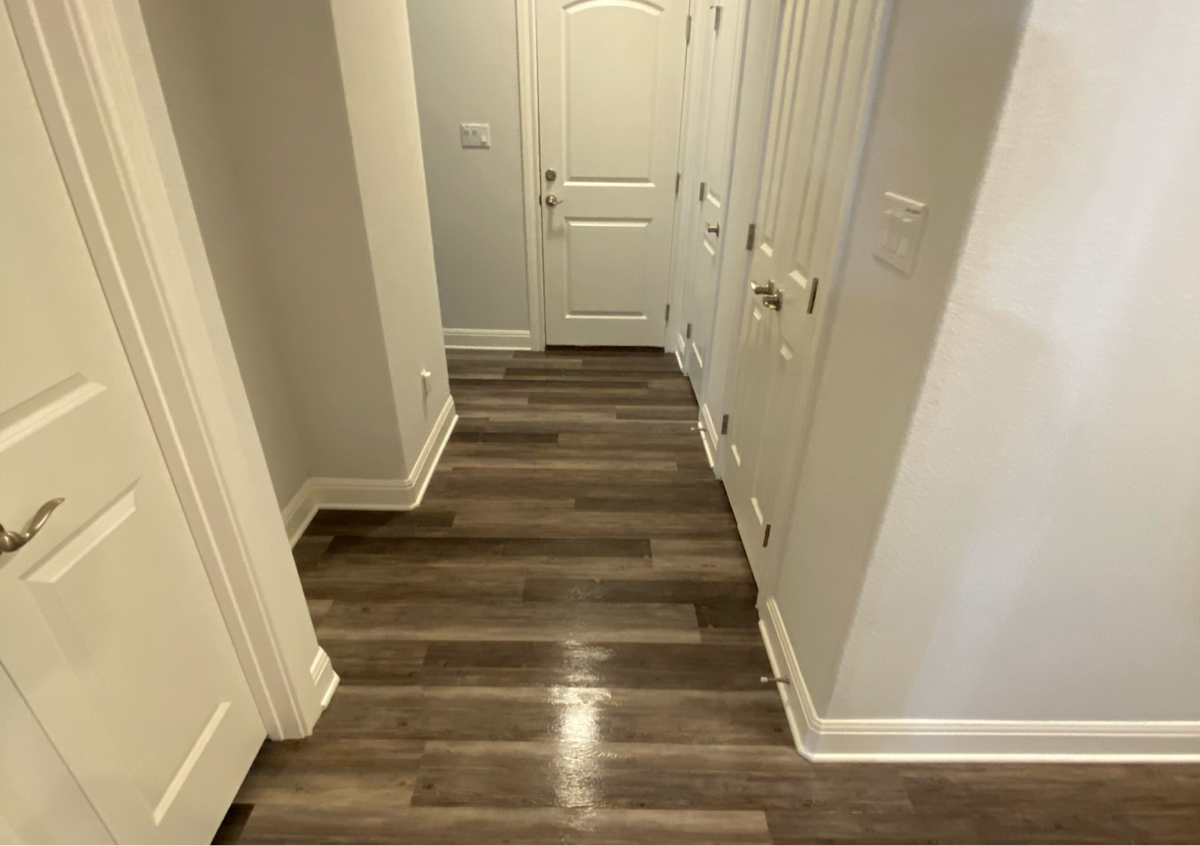 3/1 apartment standard clean