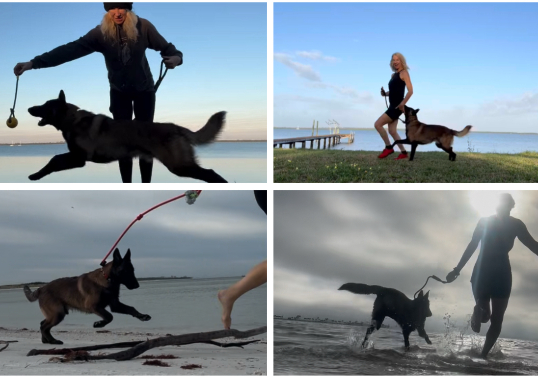 Dog Training= private session. 