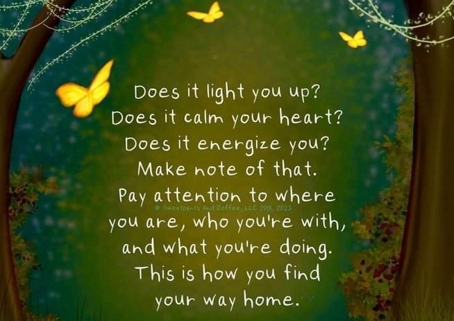 Wellbeing Advice and Support