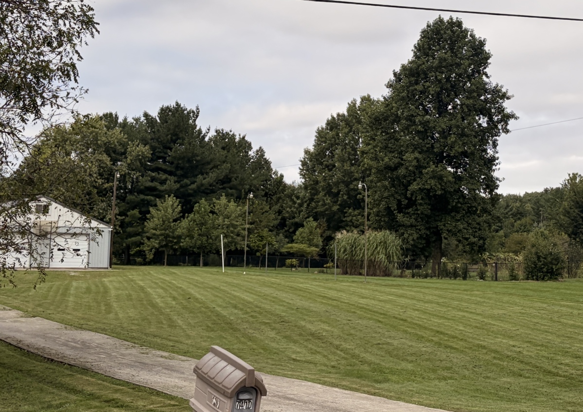 Mow, trim, edge, and blow (standard yard) (3/5)