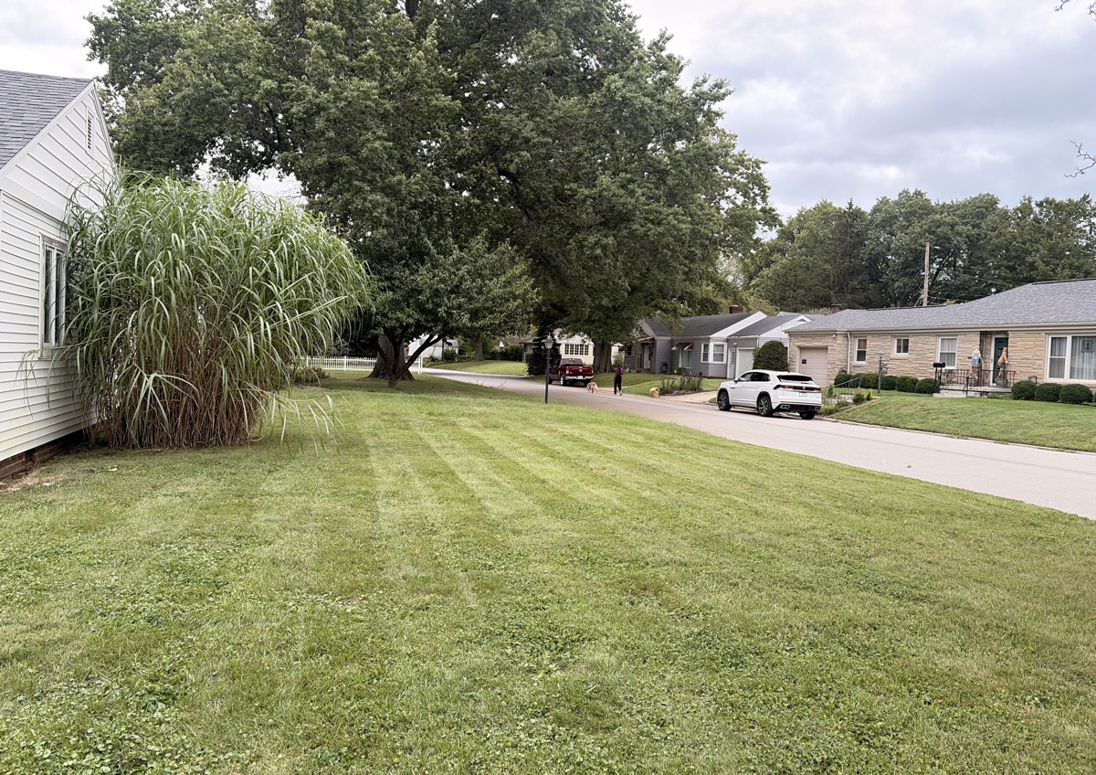Mow, trim, edge, and blow (standard yard) (4/5)