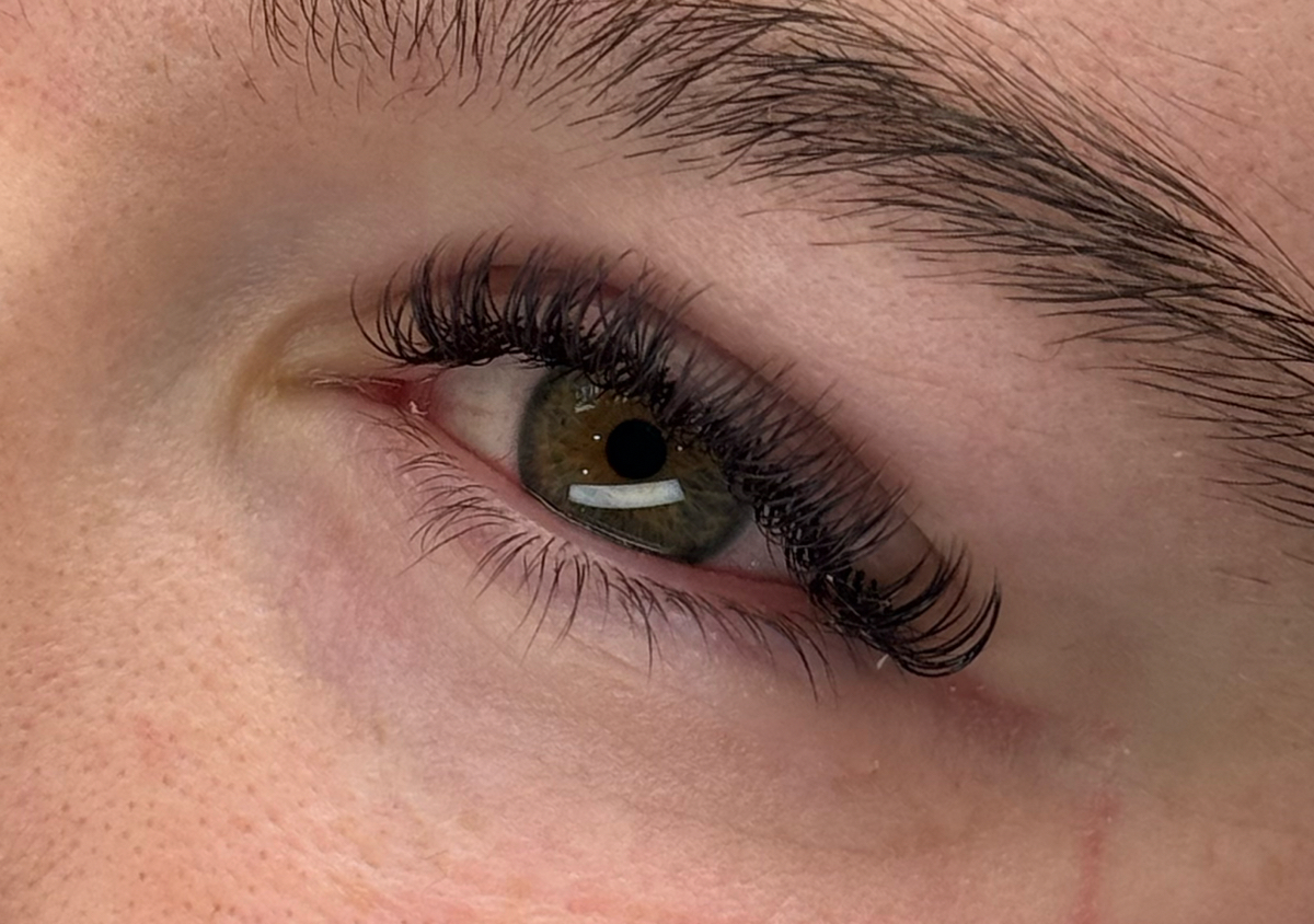 Brown Classic Lashes