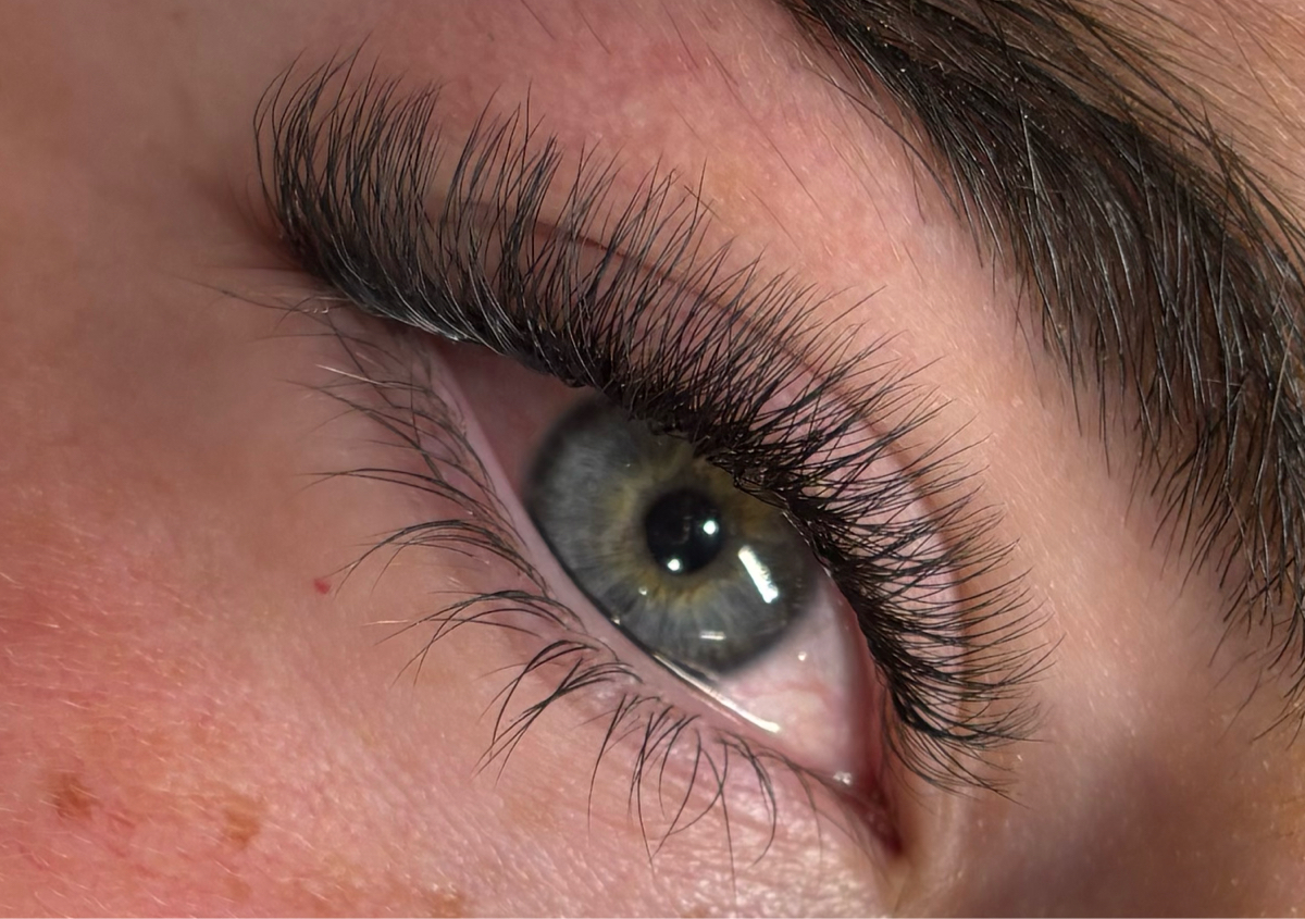 Clover 4D lash 3 week  refill 