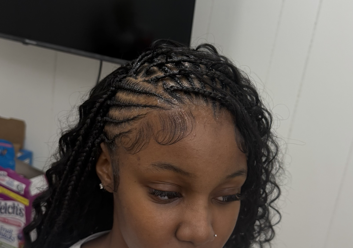 Fulani half QW WITH knotless flipover 