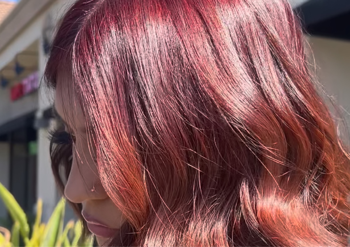 Restore and refresh package✨