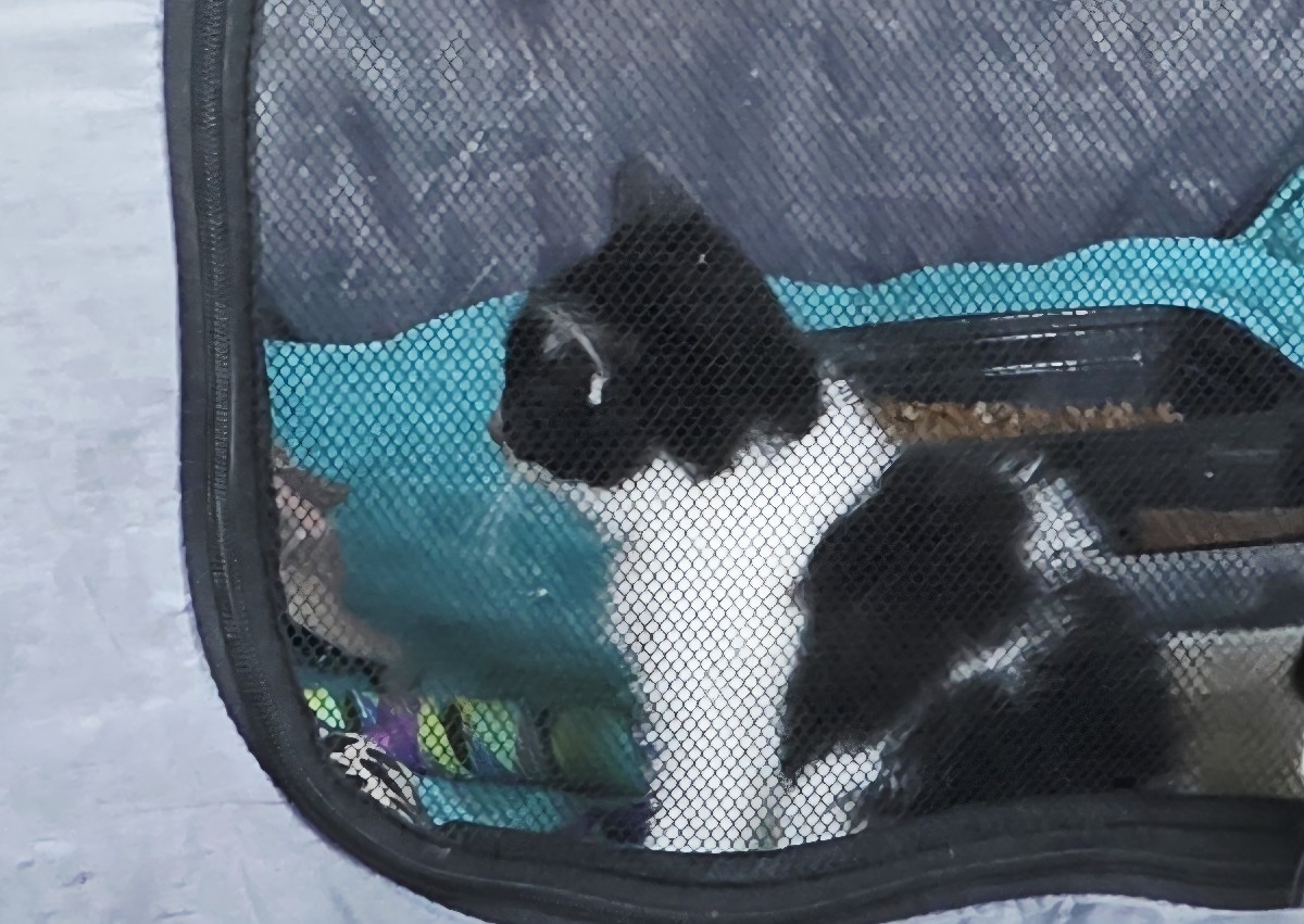 Klondike 