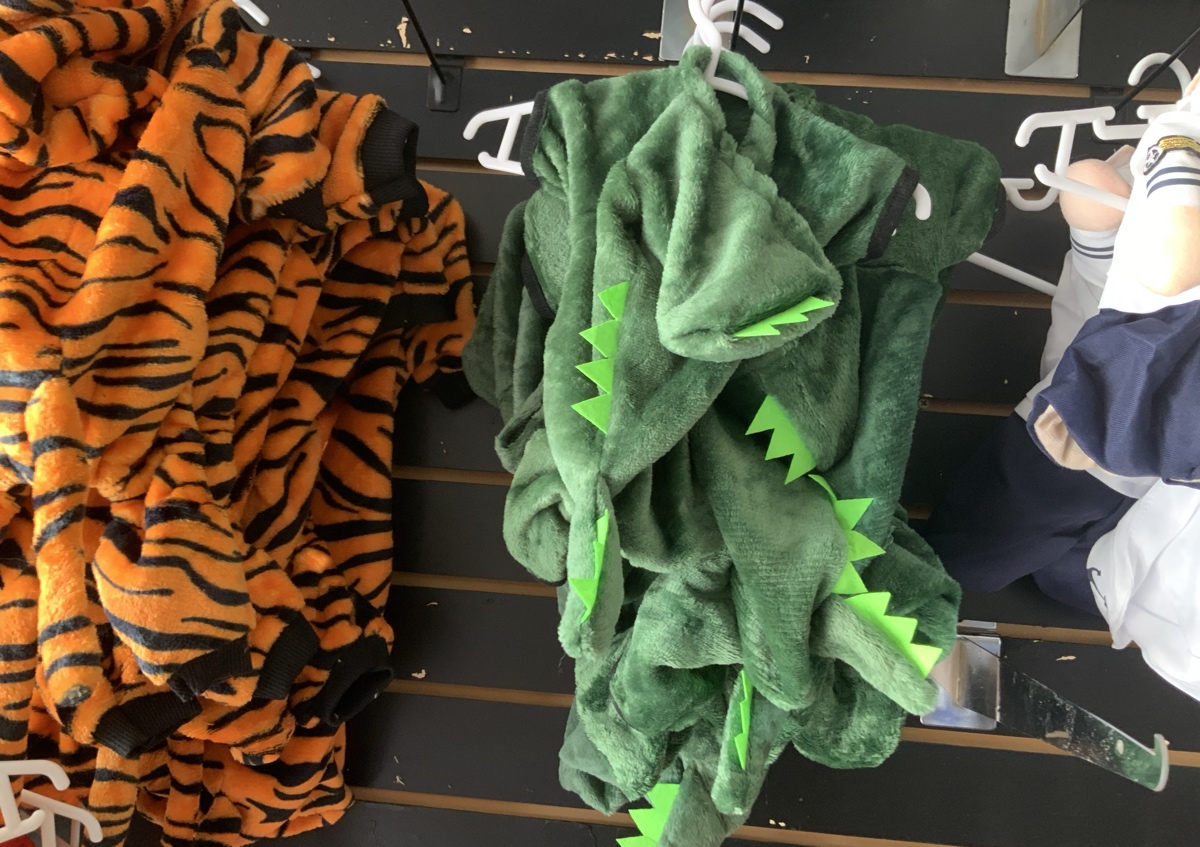 Dino costume