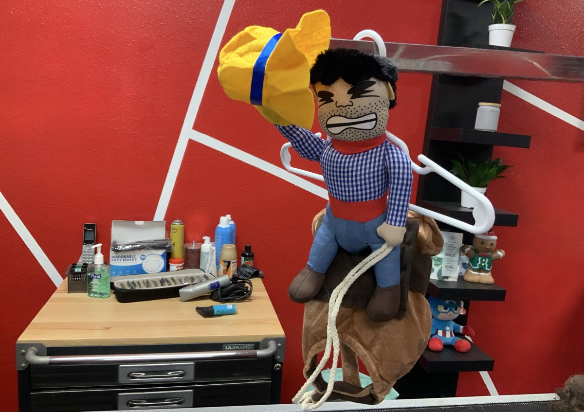 Cowboy costume