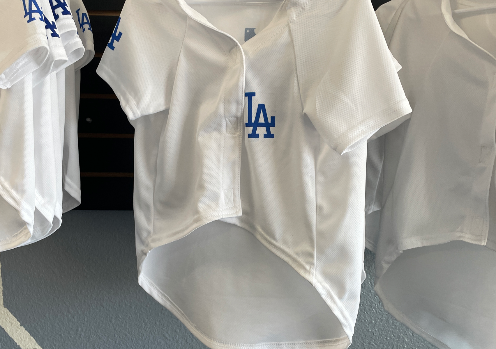Dodgers white (large)