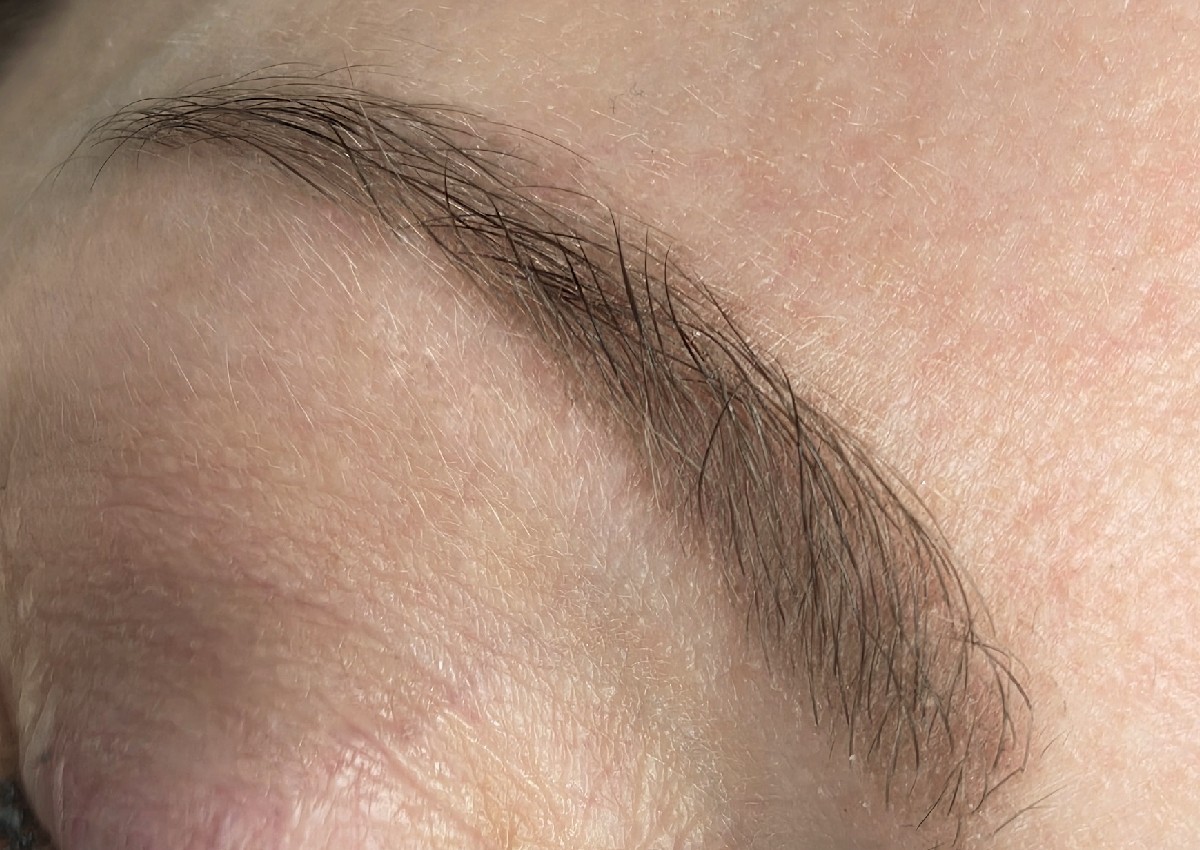 PermaBrows Consultation 