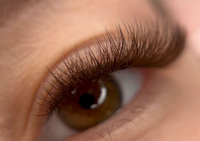 Brown lashes  (1/2)