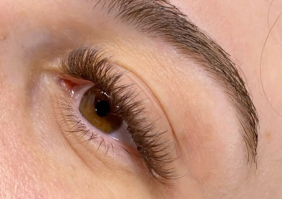 Brown lashes  (2/2)