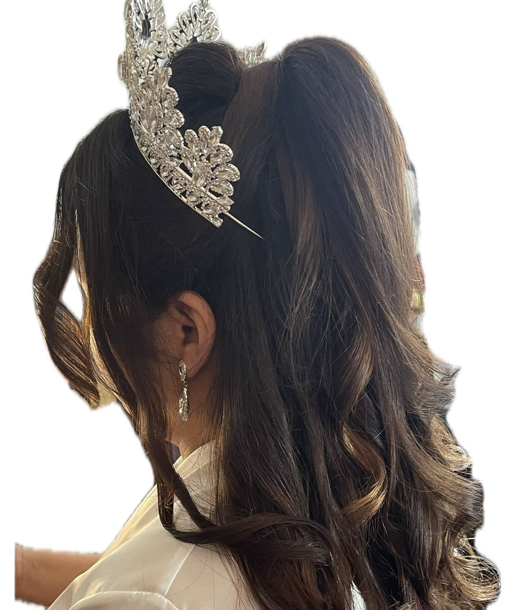 Special Occasion Hairstyle
