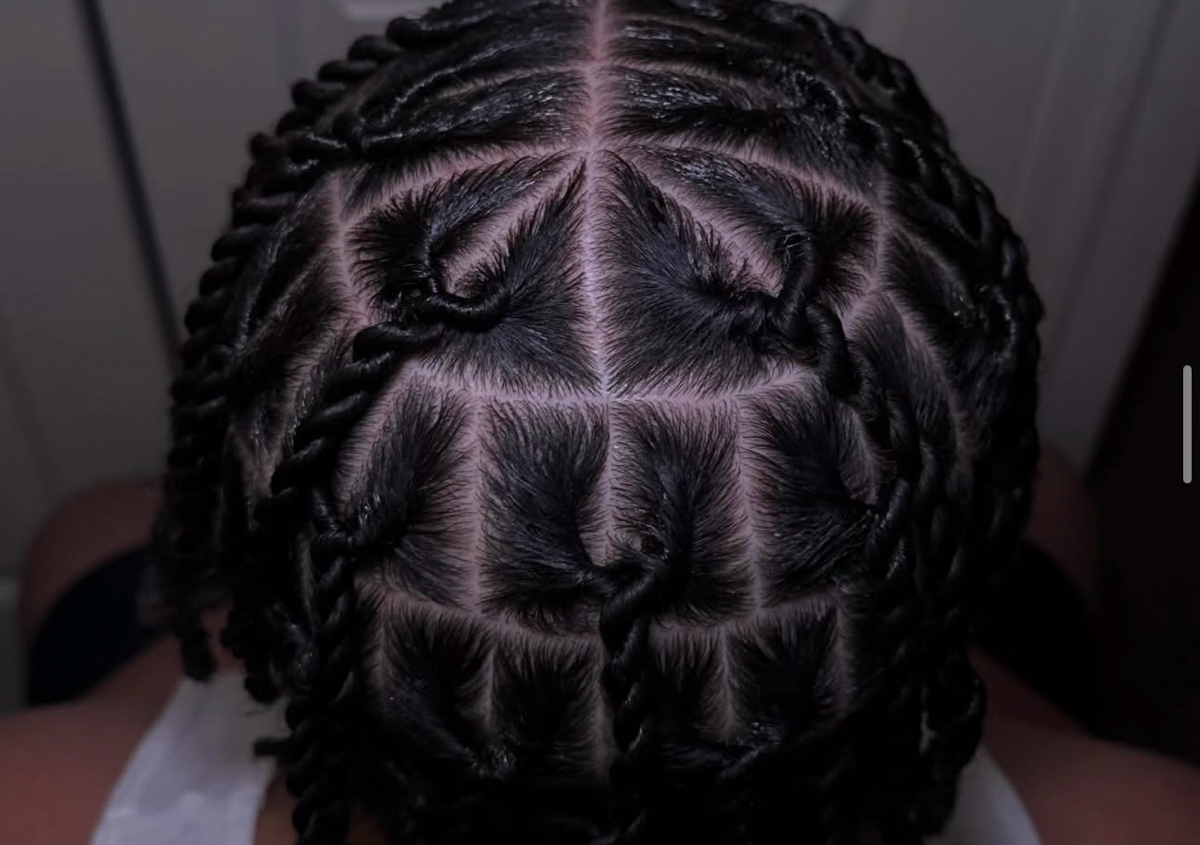 Two strand twist ( not dreads) 