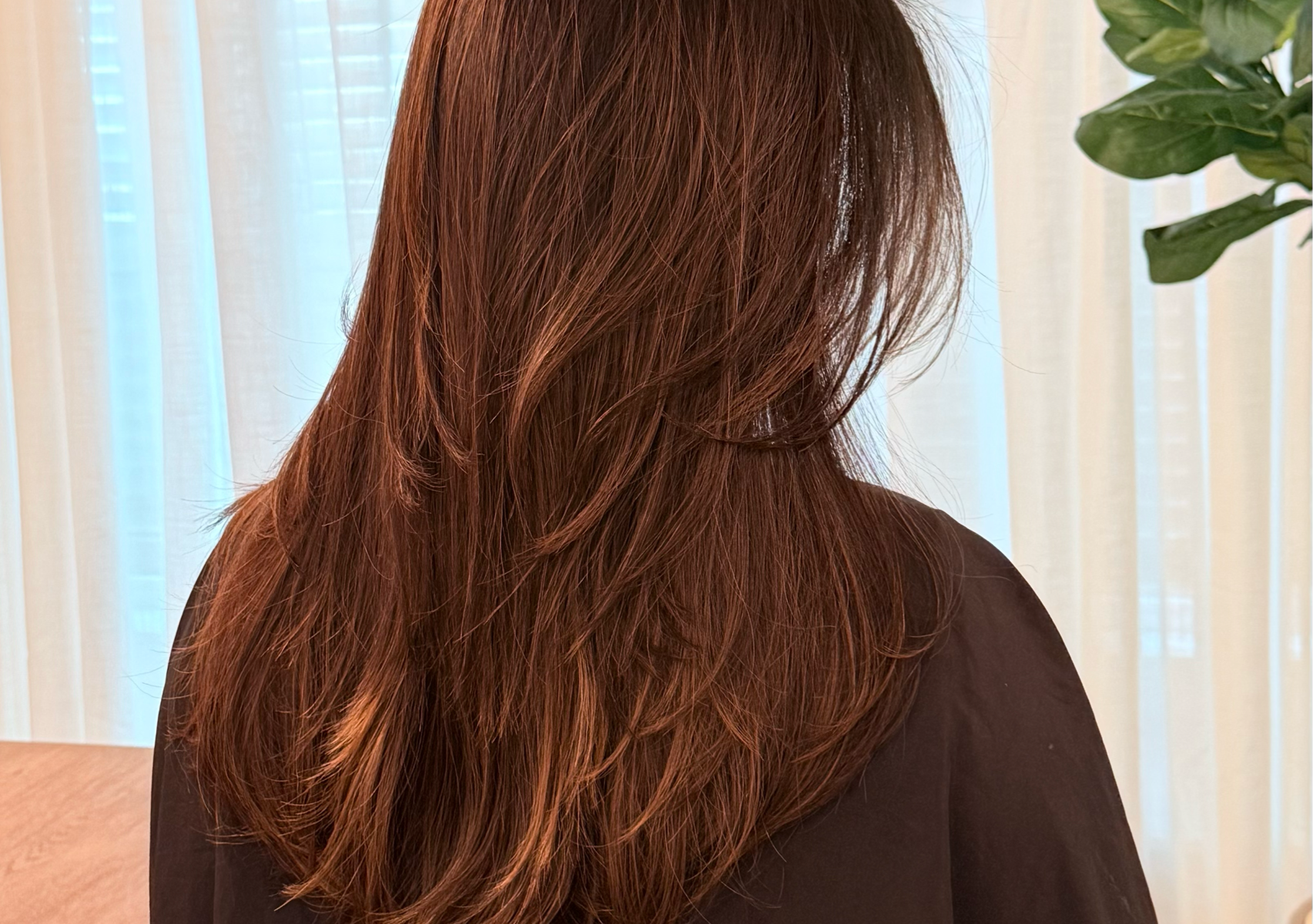 Brazilian Botox keratin Capilar + Corte /Cut Hair