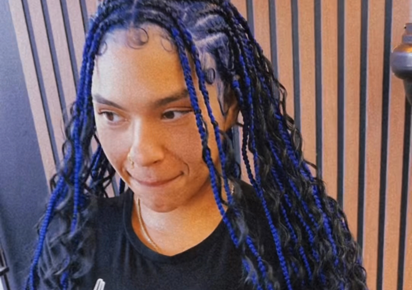 Bohemian box braid/ Hair not include