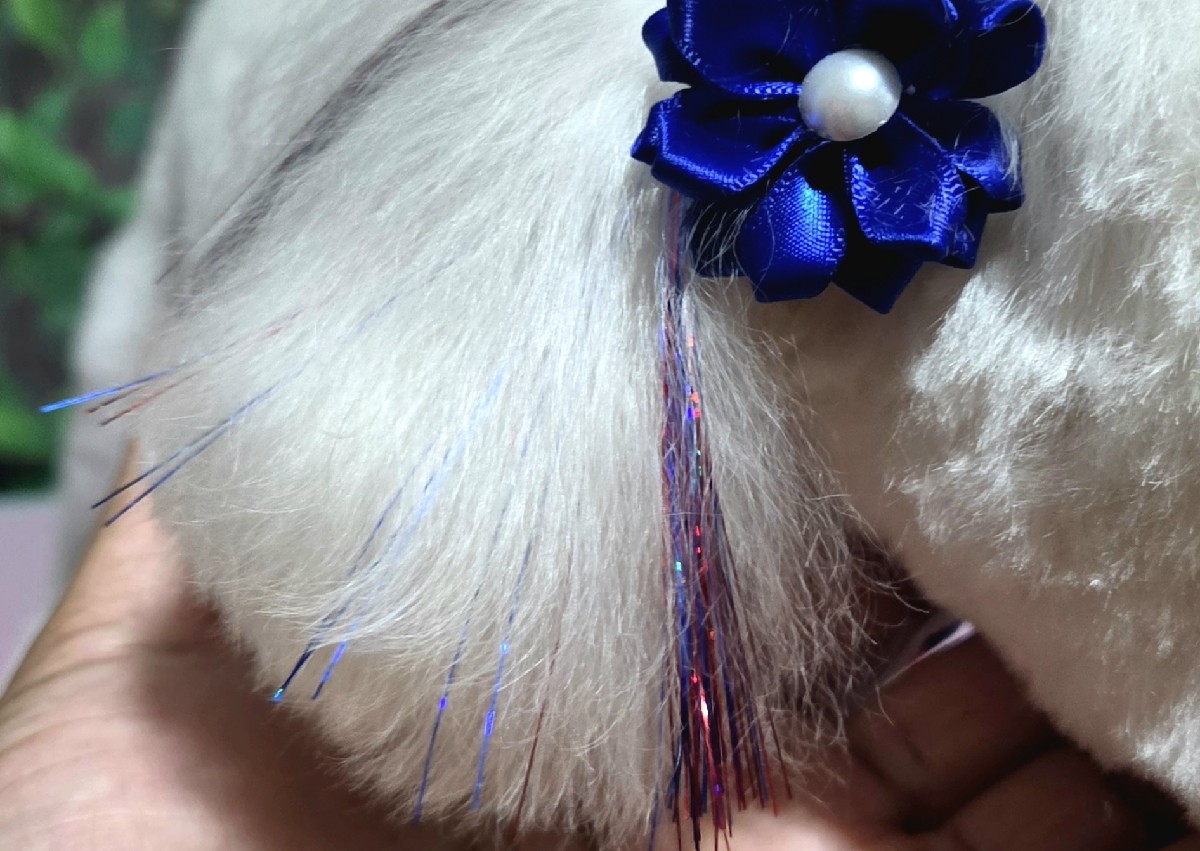 Hair Tinsel