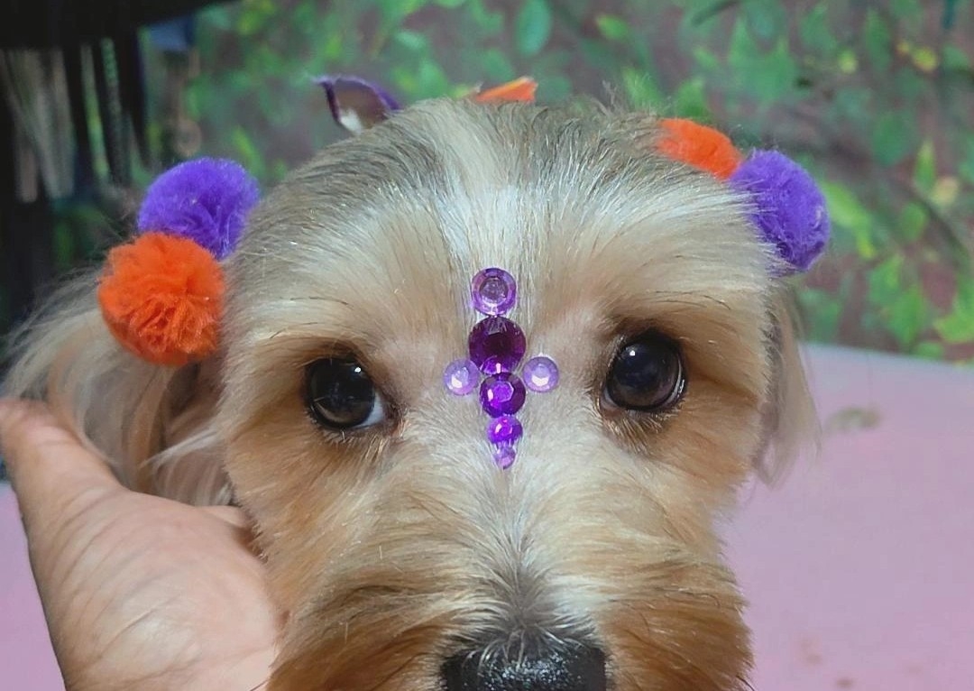 Bedazzle jewels