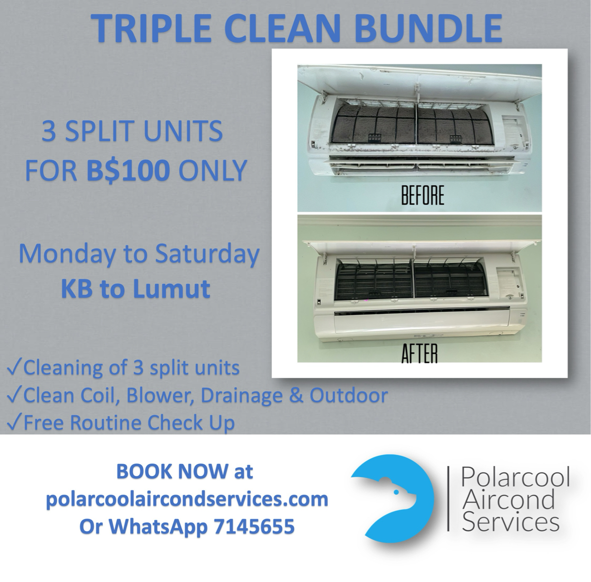 TRIPLE CLEAN BUNDLE