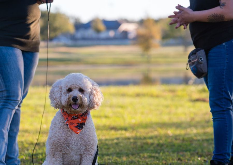 In-Person Evaluation