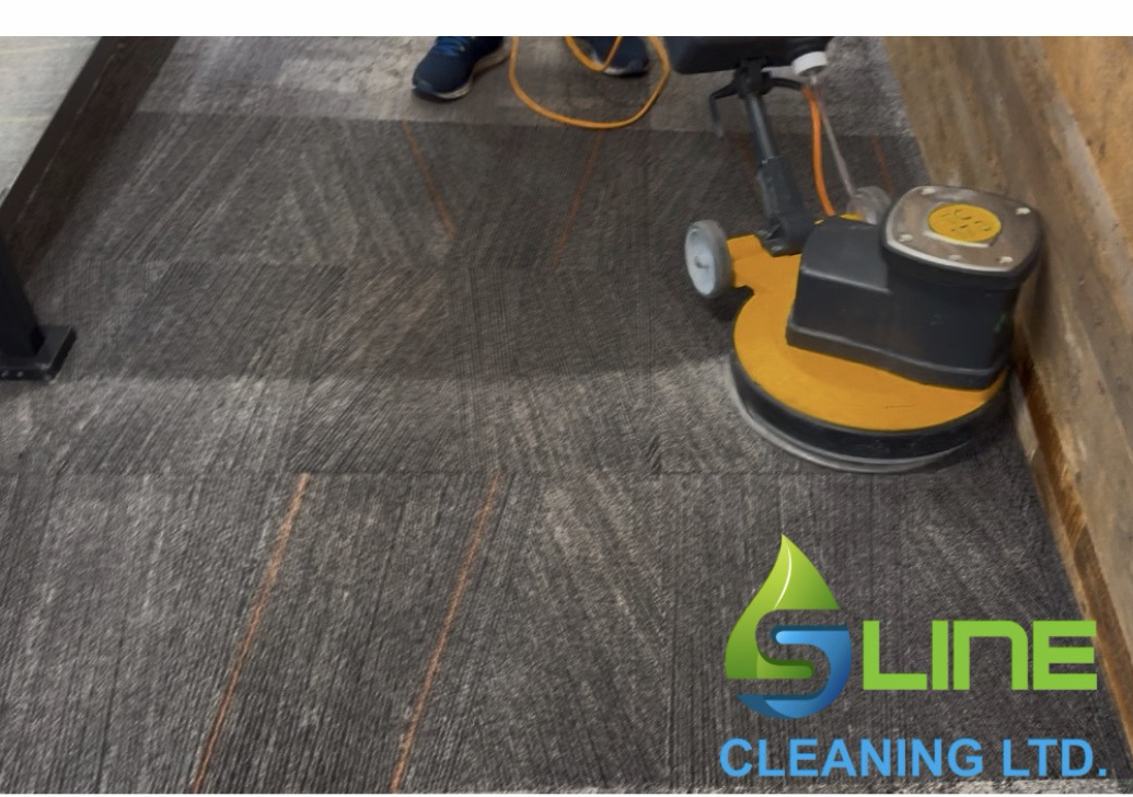 Commercial Carpet Cleaning