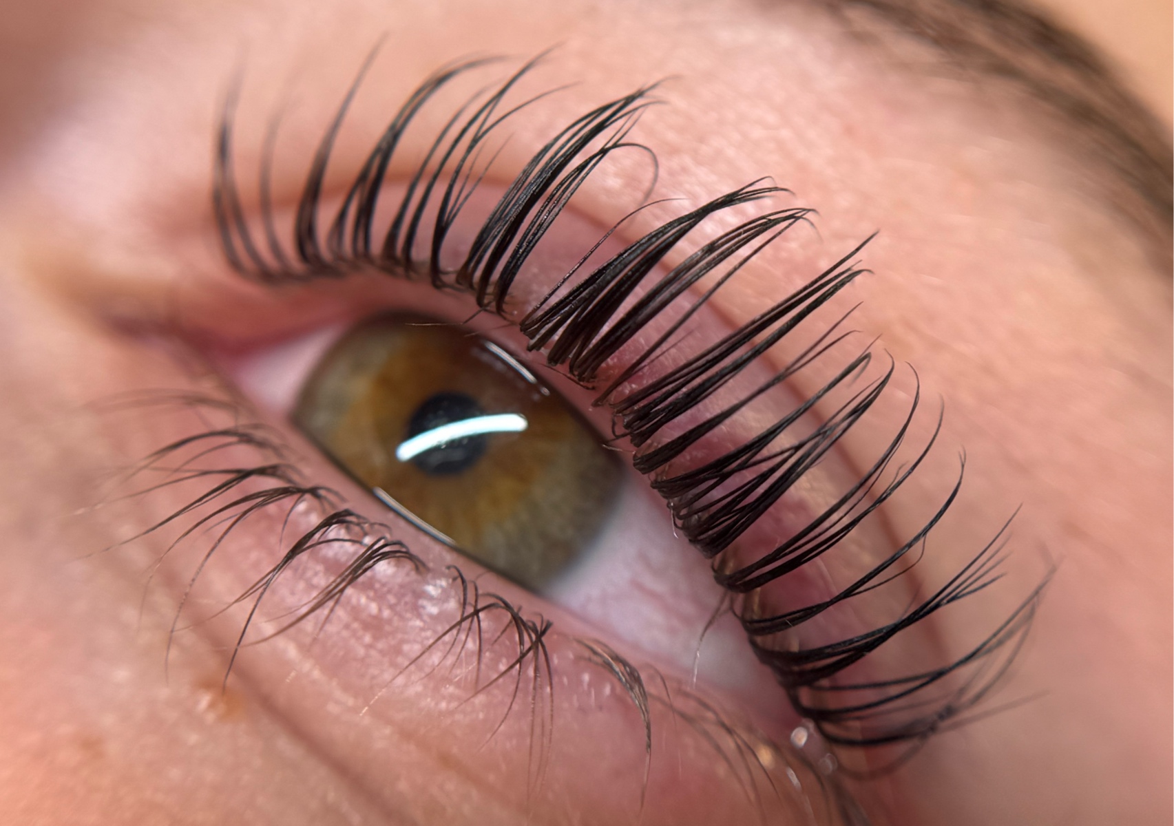 Eyelash Lift and Tint - Korean or traditional method 