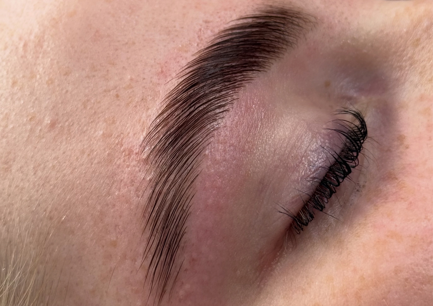 Eyebrow Lamination - regular tint 