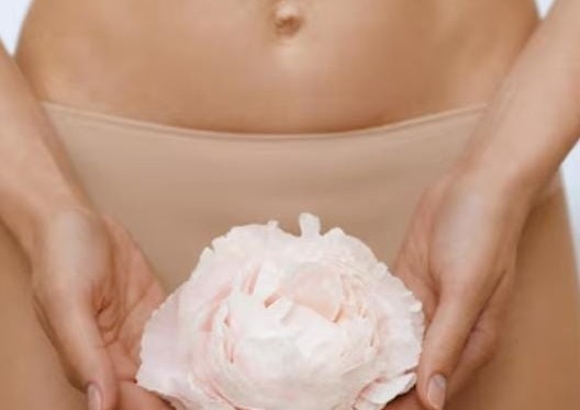 Depilacion de Bikini Brazilian 