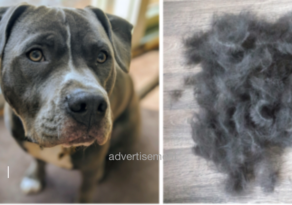 Shed treatment large under 60 lbs/ Tratamiento de cobertizo pequeño por debajo de 60 libras