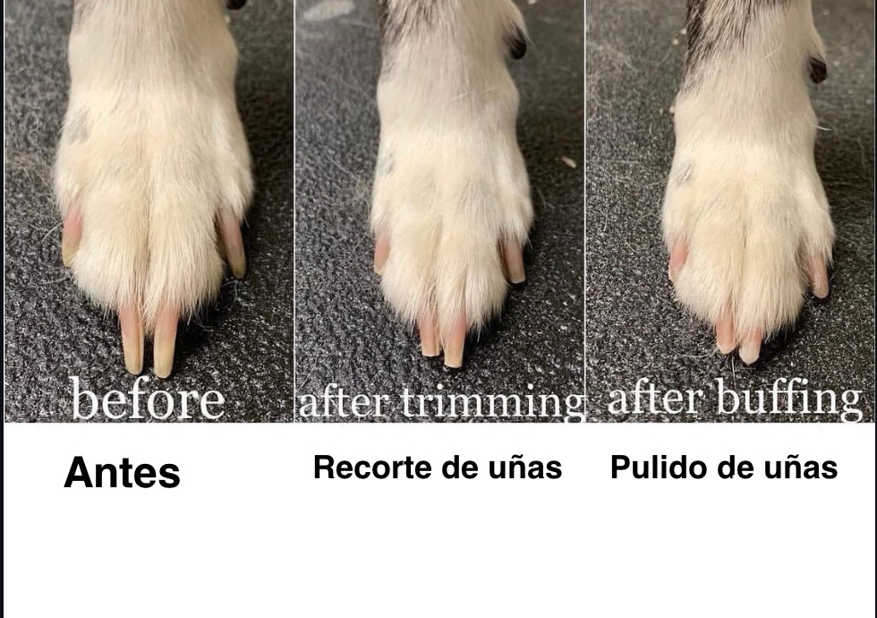 Nail buffing/Pulido de uñas