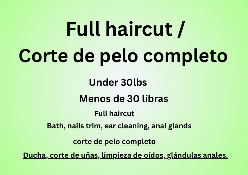 Full haircut / Corte de pelo completo. Under 30 lbs