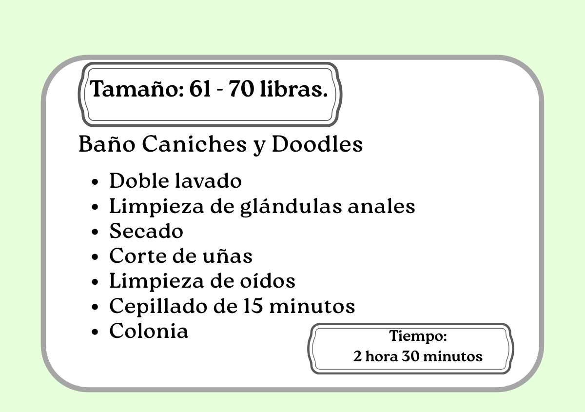 Baño Caniches y Doodles  61 -70 libras