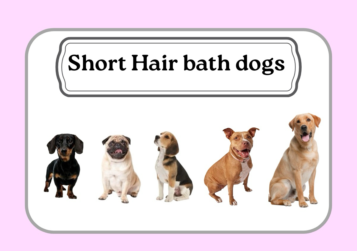 Short hair bath 