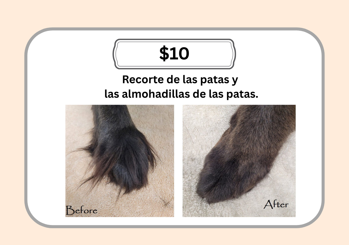 Recorte de las patas y las almohadillas de las patas.