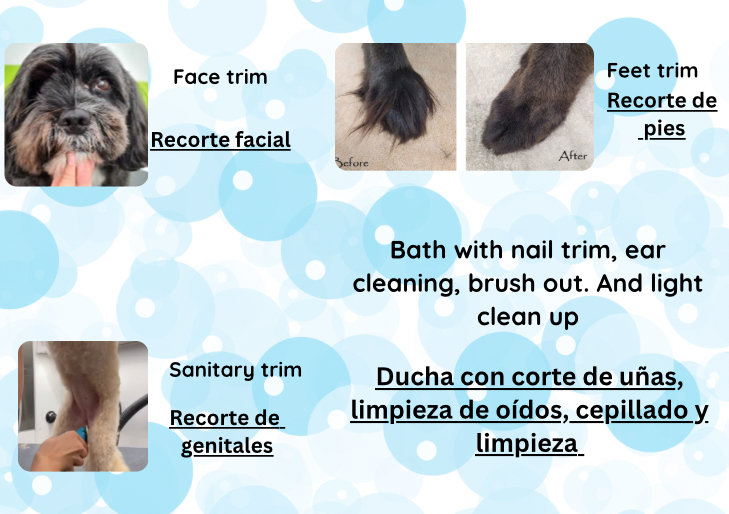 Clean up / limpiar. Under 10 lbs