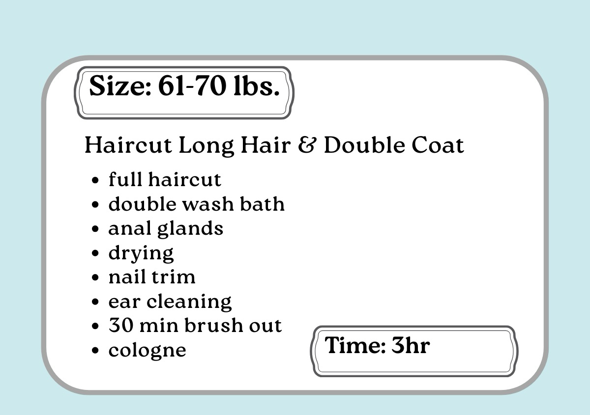 Full Haircut 61 - 70lbs