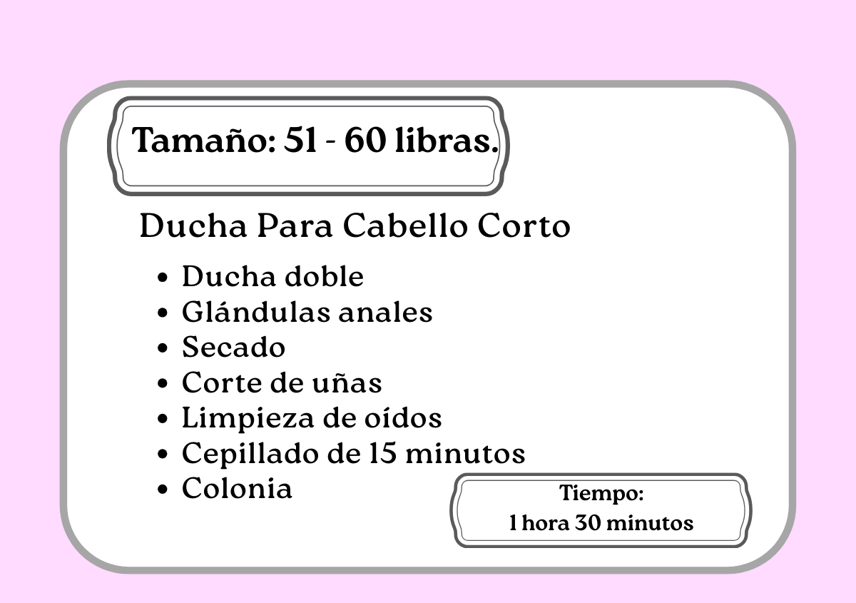 Ducha de pelo corto 51 - 60 libras