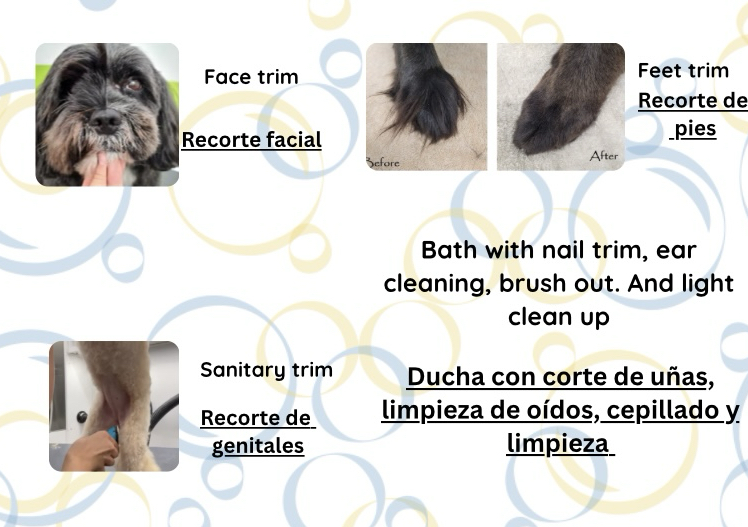 Clean up under 50 lbs