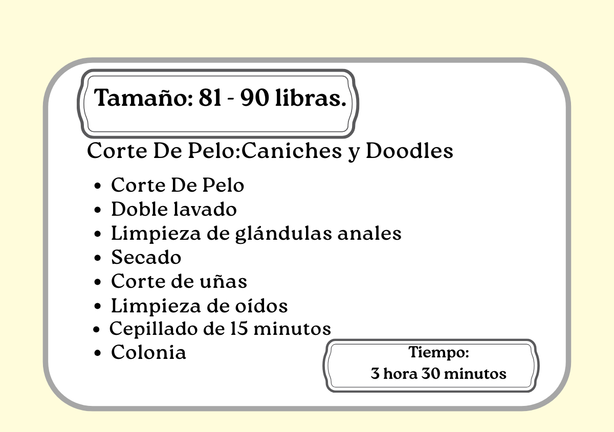 Corte De Pelo: Caniches y Doodles 81 - 90libras