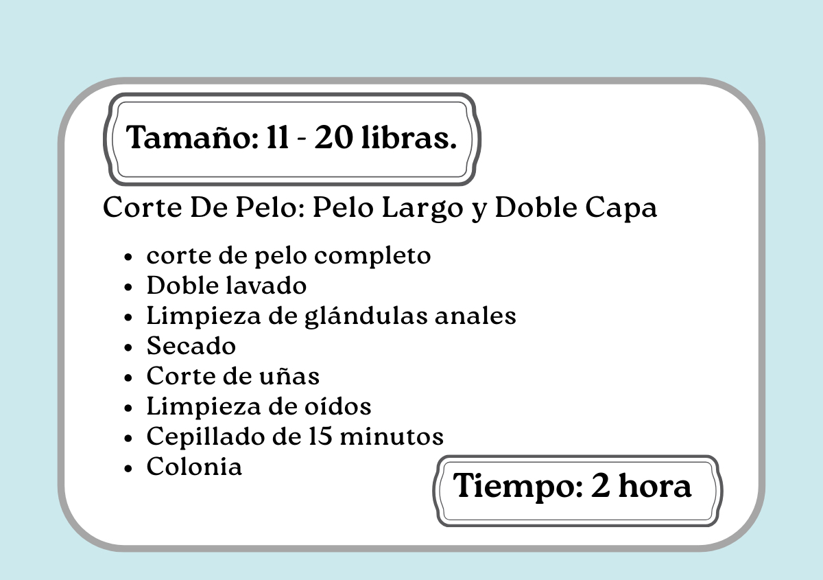 Corte De Pelo: Pelo Largo y Doble Capa 11-20 libras