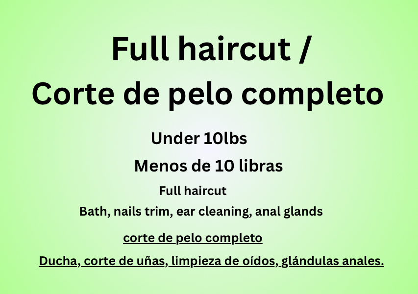 Full haircut /  Corte de pelo completo   Under 10lbs