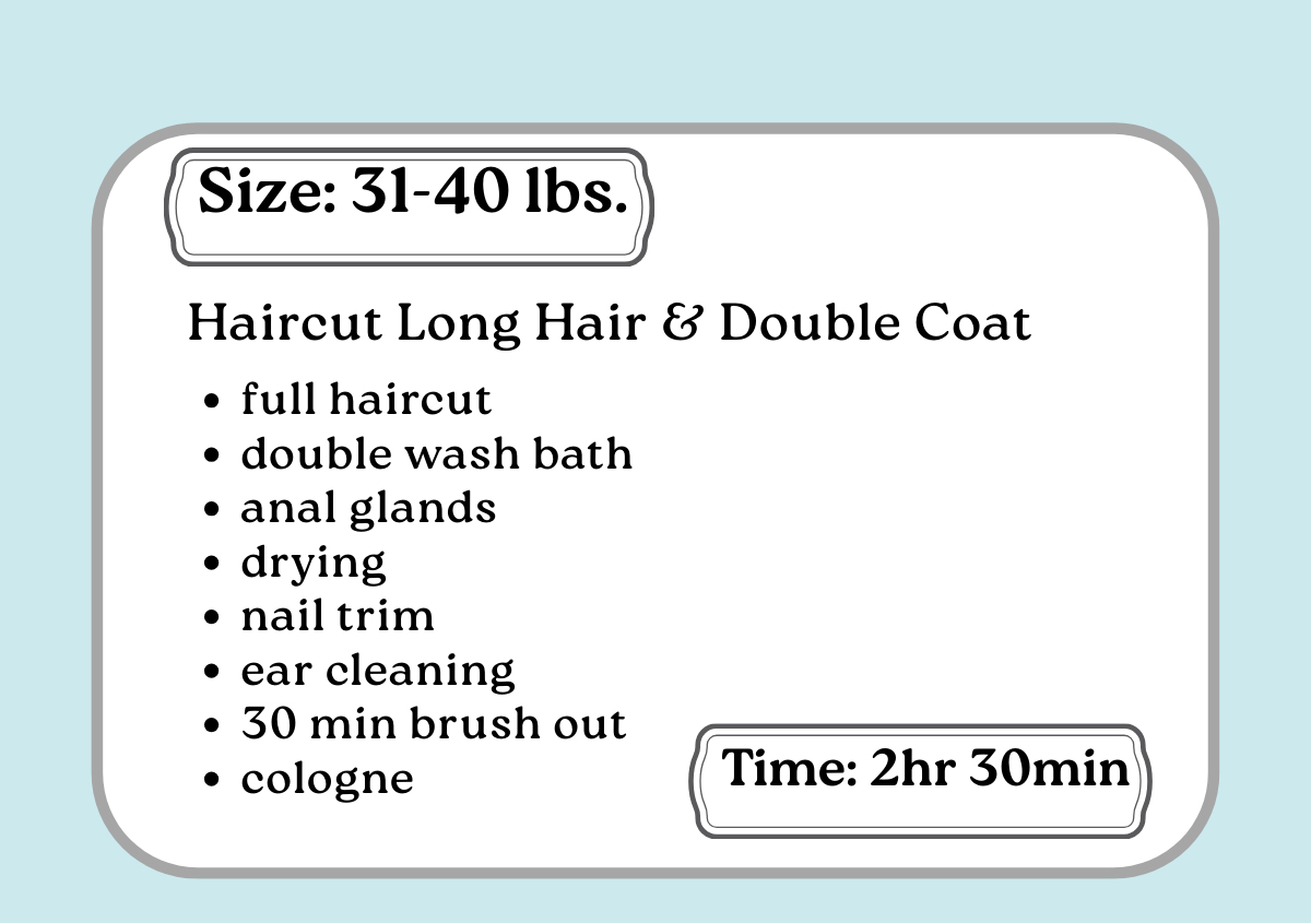 Corte De Pelo: Pelo Largo y Doble Capa 31 -40 libras