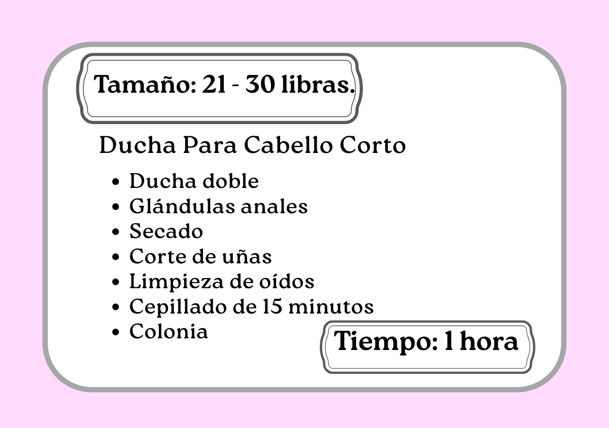 Ducha de pelo corto 21 - 30 libras