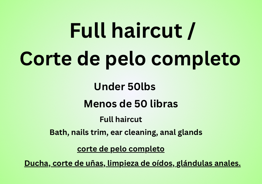 Full Haircut / Corte de pelo completo