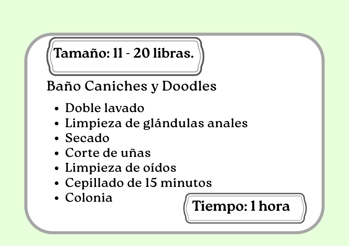 Baño Caniches y Doodles  11 -20 libras