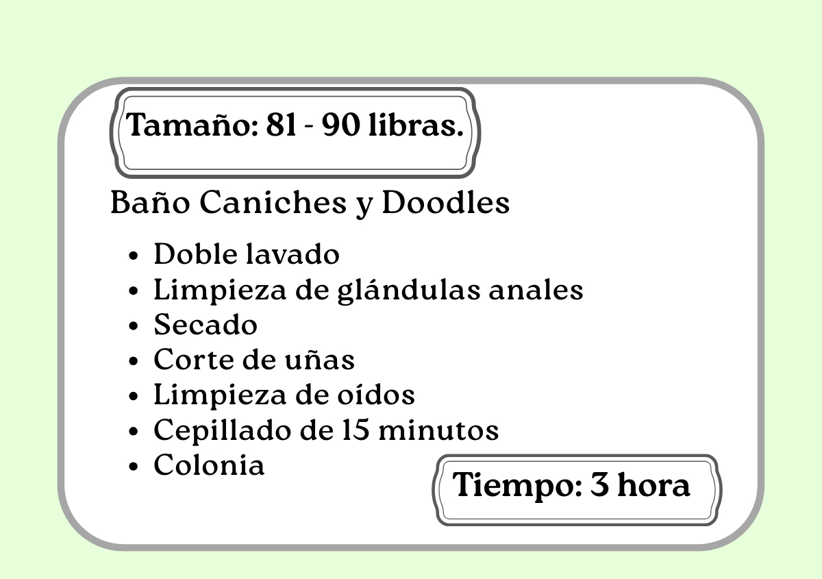 Baño Caniches y Doodles  81 -90 libras