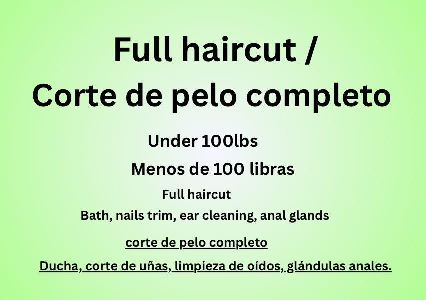 Full Haircut / Corte de pelo completo   Under 100lbs